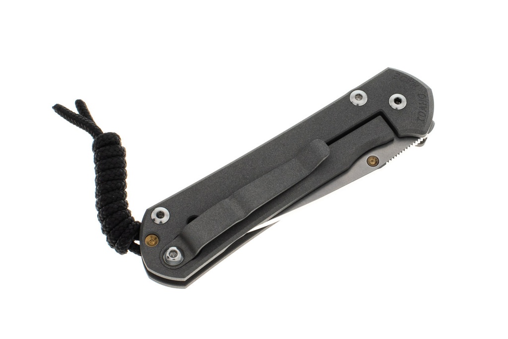 Chris Reeve Small Sebenza 31 - Gold Hardware