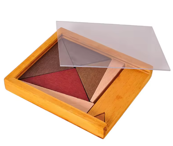 BRAIN PUZZLE Wood Fit The Triangel