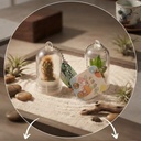 Baby plant Pocket Tree